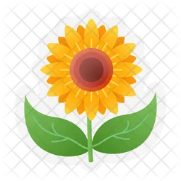 Sunflower  Icon