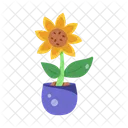 Helianthus Sunflower Pot Houseplant Symbol