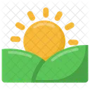 Sunrise  Icon