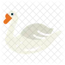 Swan  Icon