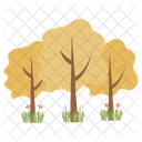 Sweet Acacia Tree Forest Icon