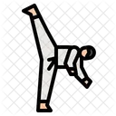 Taekwondo  Icon