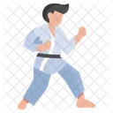 Taekwondo  Icon