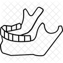 Teeth Internal Area Anatomy 아이콘