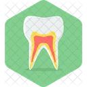 Teeth Care Health Icon