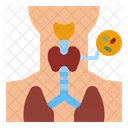 Thyroid  Icon