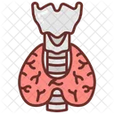 Thyroid Thyroid Gland Tsh Icon