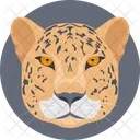 Tiger Animal Face Icon