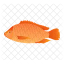 Tilapia Fish  Icon