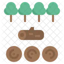 Timber Forest Log Icon