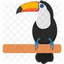 Bird Cartoon Toucan Ramphastidae Icon