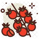 Tomato Icon