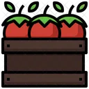 Tomato Basket  Icon