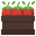 Tomato Basket  Icon