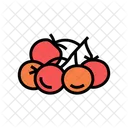 Tomato Bunch  Icon