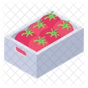 Tomato Carton Tomato Crate Tomato Bucket Icon