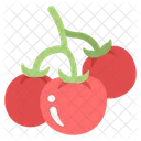 Tomatoes Farming Vegetable Icon