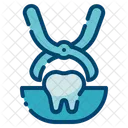 Dental Care Dentist Tooth Icon