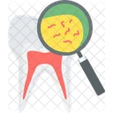 Tooth Germs Dental Icon