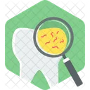 Tooth Germs Dental Icon