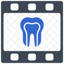 Tooth X Ray  Icon