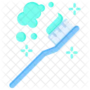 Toothbrush Brush Tooth Icon