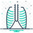 Torax Caixa Toracica Dor Ícone