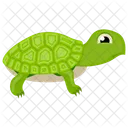 Tortuga Tortuga Pirata Tortuga De Dibujos Animados Icono