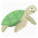 Tortuga Icono