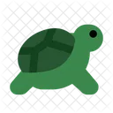 Tortuga  Icono