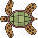 Tortuga  Icono