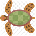 Tortuga  Icono