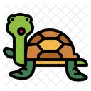 Tortuga  Icono