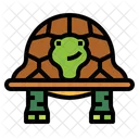 Tortuga  Icono