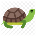 Tortuga  Icono