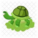 Tortuga  Icono