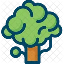 Tree Nature Spring Icon