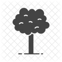 Tree  Symbol