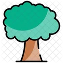 Tree  Icon