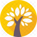 Money Plant Tree Icon