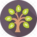 Money Plant Tree Icon