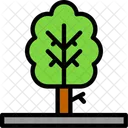 Tree Nature Greenery Symbol