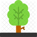 Tree Nature Greenery Symbol