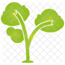 Tree  Icon