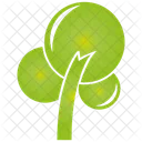 Tree  Icon