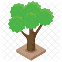 Tree Plant Forest Icon