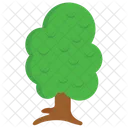 Tree Plant Forest Icon