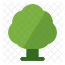 Tree Forest Summer Icon