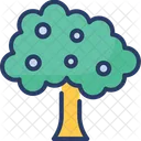 Tree Nature Forest Icon