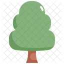 Tree Nature Botanical Icon